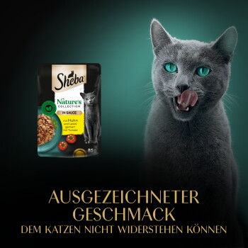 Graue Katze leckt sich die Lippen neben einer Sheba Nature's Collection Nassfutter-Tasche; Hintergrundtext 'AUSGEZEICHNETER GESCHMACK'.