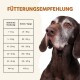 Fütterungsempfehlungen für Hunde, die tägliche Futtermengen in Gramm basierend auf Gewichtskategorien von 1-40+ kg auflisten.