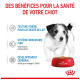 Un chiot mignon à côté d'un bol rouge de nourriture pour chiens Royal Canin, promouvant des bienfaits pour la santé comme une texture tendre, des vitamines, et des oméga-3 pour le développement cérébral.