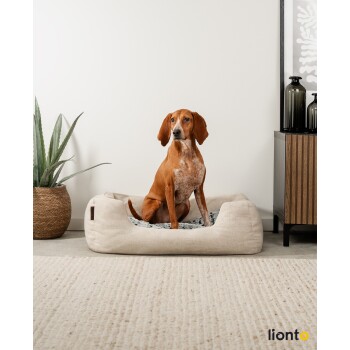 Ein brauner Hund mit weißen Flecken sitzt bequem in einem beigen Haustierbett auf einem strukturierten Teppich, mit einer Topfpflanze und einem Holzschrank im Hintergrund.