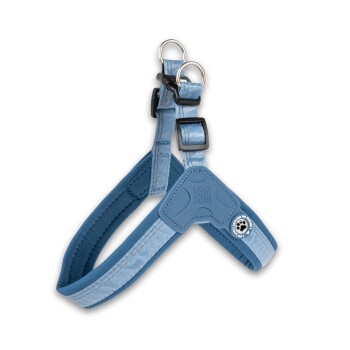 Blaues verstellbares Hundegeschirr mit gepolsterten Riemen und Metall-D-Ringen, beschriftet mit "Max & Molly" und einem Pfotenabdruck-Tag.