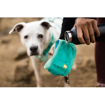 Eine Person gießt Wasser aus einer schwarzen Thermoskanne in eine türkisfarbene Hundenapf, während Wassertropfen herausspritzen. Ein Hund ist teilweise im Hintergrund sichtbar.