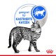 Eine gefleckte Katze steht neben einem blauen runden Etikett, das 'geeignet für KASTRIERTE KATZEN' liest.