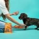 Une personne offre une friandise à un petit chien brun sur un fond turquoise, avec "Edgard Cooper Bonbons" visible au premier plan.