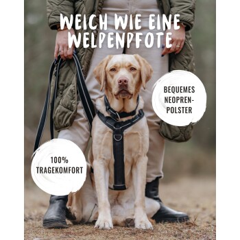 Eine Person hält einen Hund in einem Geschirr im Freien. Text: "Weich wie eine Welpenpfote," "Bequemes Neopren-Polster," "100% Tragekomfort."