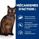 Un chat brun avec des yeux verts et un collier bleu est assis sur un fond bleu avec du texte sur les bienfaits nutritionnels et la teneur en L-carnitine.