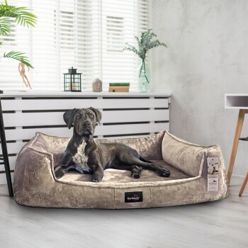 Ein eleganter schwarzer Hund entspannt sich auf einem beigen Haustierbett mit der Aufschrift "tierlando" in einem hellen Raum mit weißen Jalousien und Pflanzen.