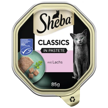 Nourriture pour chats Sheba Classics en pâté, avec du saumon, 85g. Présente une assiette verte avec des morceaux de nourriture et des herbes.