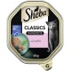 Sheba Classics Katzenfutter in Pastete, mit Lachs, 85g. Zeigt einen grünen Teller mit Futterstücken und Kräutern.