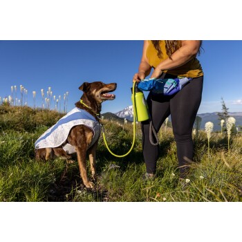 Ein glücklicher brauner Hund, der einen blau-weißen gemusterten Mantel trägt, sitzt auf Gras, während eine Frau in einem gelben Oberteil eine grüne Wasserflasche vorbereitet.