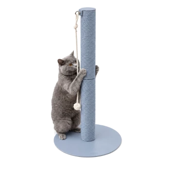 Graue Katze umklammert einen hohen blauen Sisal-Kratzpfosten mit hängendem, geknotetem Seilspielzeug auf rundem blauem Sockel.