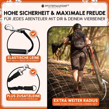 Hundeleinenset mit elastischer Länge von 40 cm und zusätzlicher Leine für mehr Freiheit, fördert Sicherheit und Spaß bei Abenteuern mit Haustieren.