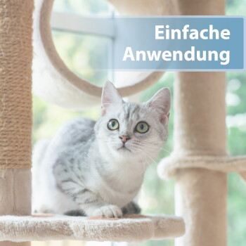 Graue getigerte Katze auf einem beigen Kratzbaum, blickt nach oben; Überlagerungstext: 'Einfache Anwendung'.