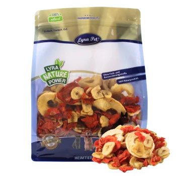 Lyra Pet Nature Power getrocknete Obst- und Gemüsesnacks für Haustiere in wiederverschließbarer Tüte mit deutschem Text.