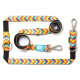 Buntes Hundeleinen- und Halsband-Set mit Chevron-Muster, Metallclips und Ringen, beschriftet mit „Max & Molly“ und „Urban Pets“.
