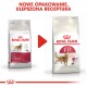 Obraz dwóch torebek karmy dla kotów Royal Canin, oznaczonych 'FIT 32' i 'Regular FIT 32', z tekstem 'NOWE OPAKOWANIE, ULEPSZONA RECEPTURA.'