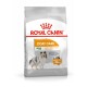 Torba karmy dla psów Royal Canin Coat Care, z wizerunkiem owczarka shetlandzkiego, oznaczona 'Zdrowa i lśniąca sierść', z obietnicą lśniącej sierści w 28 dni.
