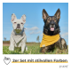 Zwei Hunde, die auf Gras sitzen, einer trägt einen hellgrauen Schal und der andere einen leuchtend gelben Schal, mit dem Text "2er Set mit stilvollen Farben."
