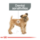 Illustration of a Brussels Griffon dog with the text "Dental sensitivities" above, highlighting dental health concerns.