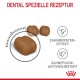 Dental Care 400 g