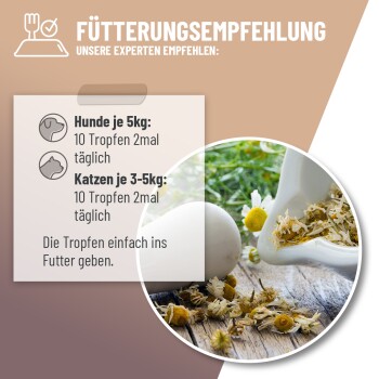 Fütterungsempfehlung (auf Deutsch): Hunde 5 kg: 10 Tropfen zweimal täglich; Katzen 3–5 kg: 10 Tropfen zweimal täglich; Kamille in Schale