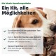 Ein Hund und eine Katze zusammen gehalten, mit einem Text, der ein praktisches Haustiergesundheitskit mit DNA- und Wurmtests bewirbt.