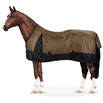 Eine braune und schwarze Pferdedecke, die über ein kastanienbraunes Pferd drapiert ist, und ihr elegantes Design und die verstellbaren Riemen zeigt.