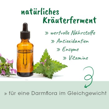 Kräferment in einer Pipettenflasche mit frischen Kräutern, das Nährstoffe, Antioxidantien, Enzyme und Vitamine für die Darmgesundheit hervorhebt.