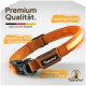 Hochwertiges oranges Hundehalsband aus strapazierfähigem Nylon, mit einer Schnalle, die bis zu 400 kg unterstützt, und einem anodisierten Stahl-D-Ring.