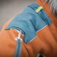 Nahaufnahme eines Hundes mit orangefarbenem Fleece-Jacke und blauem Geschirr mit der Aufschrift „HOLLY WOLF“, an Leine befestigt.