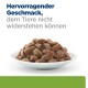 Nassfutter in Soße auf einem weißen Teller aufgetürmt; Überschrift lautet: 'Ausgezeichneter Geschmack, dem Tiere nicht widerstehen können'.
