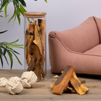 Ein Glasgefäß voller Hundekauartikel steht neben einem rosa Haustiersofa und zwei weißen Seilspielzeugen auf einem Holztisch, umgeben von Grünpflanzen.