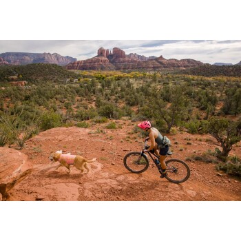 Eine Person mit einem rosa Helm fährt mit einem Mountainbike auf einem felsigen Pfad, während ein Golden Retriever in einer rosa Weste nebenherläuft.