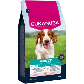 Karma dla dorosłych psów Eukanuba dla psów poniżej 25 kg, bogata w łososia i jęczmień, 12 kg, z korzyściami dla zdrowia zębów.