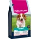 Eukanuba Adult Hundefutterbeutel für Hunde unter 25 kg, reich an Lachs und Gerste, 12 kg, mit Zahnschutz-Vorteilen.