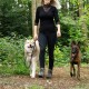 Eine Frau in einem schwarzen Oberteil und Leggings geht mit zwei Hunden, einem lächelnden Siberian Husky und einem Belgischen Malinois, an Leinen in einem grünen Wald.