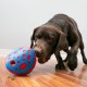 Labrador chocolat poussant un ballon distributeur de friandises KONG bleu et rouge sur un sol en bois, avec des croquettes à proximité.