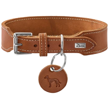 Braunes Lederhalsband für Hunde mit silberner Schnalle, rundem Lederanhänger mit geprägter Hundesilhouette und Metallplakette mit der Aufschrift 'HUNTER'.