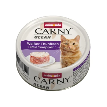 Dosenfutter für Katzen mit der Aufschrift "Carny Ocean," das weißen Thunfisch und roten Schnapper enthält, mit einer Serviervorschlag auf einem Teller.