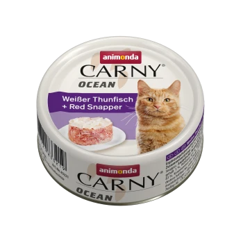 Dosenfutter für Katzen mit der Aufschrift "Carny Ocean," das weißen Thunfisch und roten Schnapper enthält, mit einer Serviervorschlag auf einem Teller.