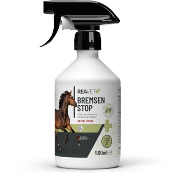 Bremsen Stop Spray 500ml