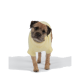 Brauner Hund in dunkelbraunem Sherpa-Fleece-Mantel mit Schnallenriemen, vor weißem Studiohintergrund.