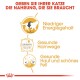 Bild, das die Vorteile von Katzenfutter bewirbt, mit Symbolen für niedrigen Energiegehalt, Harnwegsgesundheit und gesunde Haut und Fell, mit deutschem Text.