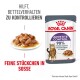 Royal Canin Appetitkontrolle Katzenfutterbeutel neben einem Teller mit Nassfutter, der 90% Zufriedenheit der Besitzer und Kontrolle des Bettelverhaltens hervorhebt.