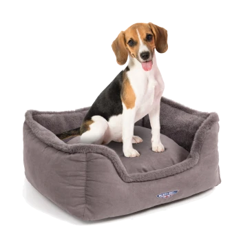 Ein Beagle sitzt bequem in einem plüschigen, grauen Hundebett mit weichem Innenraum und erhöhten Rändern, das ein gemütliches Design zeigt.