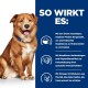 Ein brauner Hund sitzt vor einem blauen Hintergrund mit Text über die einzigartigen Proteine und Gesundheitsvorteile eines Haustierfutters.