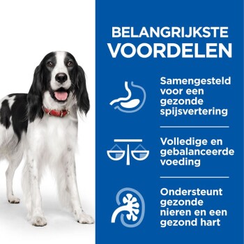 Een blije zwart-witte hond staat naast een blauw paneel met voordelen: gezonde spijsvertering, uitgebalanceerde voeding en ondersteuning voor nieren en hart.