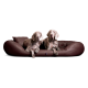Zwei Weimaraner Hunde liegen auf einem großen braunen Lederhundebett mit Kissen vor weißem Hintergrund.