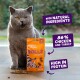 Gray winking cat beside orange "Rolls" treat bag; visible text: natural ingredients; 86% chicken & turkey; high in protein