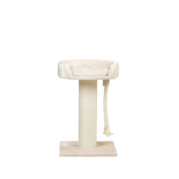 Ein beiger Kratzbaum für Katzen mit einer plüschigen, gepolsterten Liegefläche oben und einem mit Sisal umwickelten Kratzpfosten, mit einem hängenden Seilspielzeug.